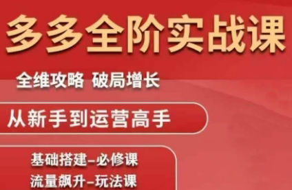 2025-2026大炮拼多多全阶实战课程 从入门到精通爆款打造全链路运营指南跨境课程-外贸教程-精品网课-电商运营课库课堂
