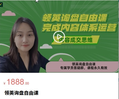 Linkedin外贸询盘实战课：从账号优化到订单成交，询盘复利全流程实操教程跨境课程-外贸教程-精品网课-电商运营课库课堂