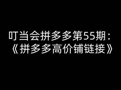 拼多多高价铺链接实操课 高利润定价运营裂变涨流全攻略 第55期跨境课程-外贸教程-精品网课-电商运营课库课堂