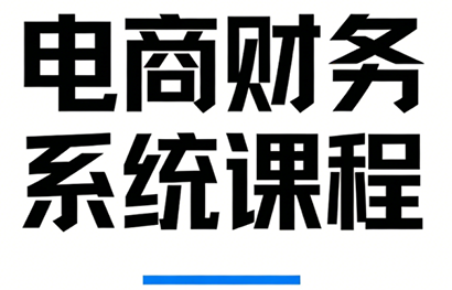 郑老师电商财务系统课程 四大平台对账做账税务分析全盘实操教程跨境课程-外贸教程-精品网课-电商运营课库课堂