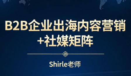 Shirle 老师 B2B 企业出海内容营销 + 社媒矩阵超级获客实战课跨境课程-外贸教程-精品网课-电商运营课库课堂