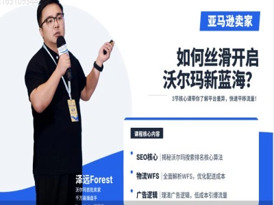 沃尔玛店铺运营实战教程 Listing 优化 WFS 物流 广告投放技巧跨境课程-外贸教程-精品网课-电商运营课库课堂