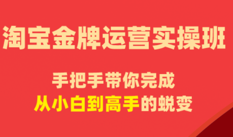 2026 飓风电商淘宝金牌运营实操班全链路实战课程跨境课程-外贸教程-精品网课-电商运营课库课堂