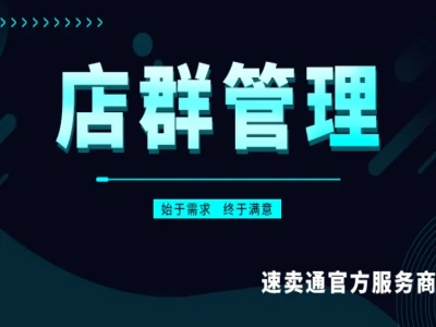 电商店群团队搭建与高效管理实战课程跨境课程-外贸教程-精品网课-电商运营课库课堂