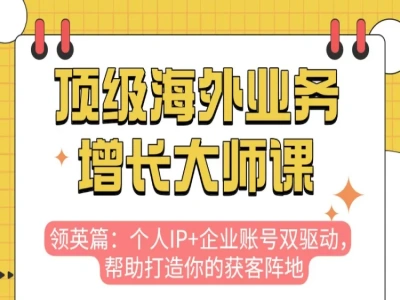 LinkedIn 领英获客运营实战课:定位引流内容营销与广告投放全攻略跨境课程-外贸教程-精品网课-电商运营课库课堂