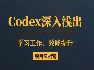 Codex深入浅出-项目实战营跨境课程-外贸教程-精品网课-电商运营课库课堂
