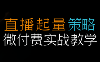 半野老师·直播带货起量与微付费必学课视频号跨境课程-外贸教程-精品网课-电商运营课库课堂
