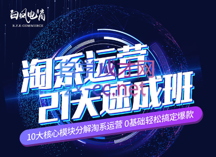 淘系运营21天速成班(更新7月)跨境课程-外贸教程-精品网课-电商运营课库课堂
