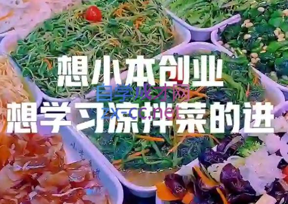 李记·精品凉拌菜系列热卤系列教程跨境课程-外贸教程-精品网课-电商运营课库课堂