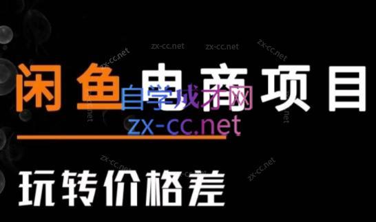亿创繁星·闲鱼电商项目(玩转价格差)跨境课程-外贸教程-精品网课-电商运营课库课堂