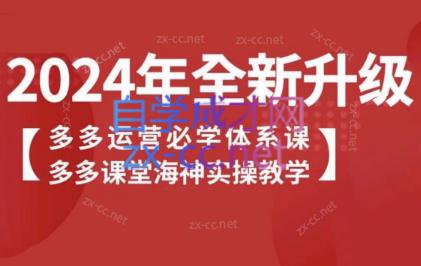 海神老师·拼多多运营必学体系课跨境课程-外贸教程-精品网课-电商运营课库课堂