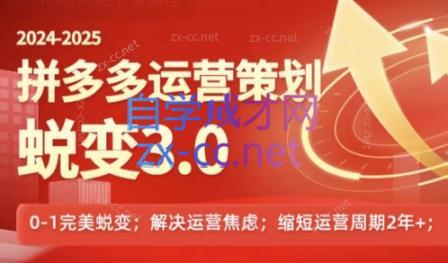 大力老师·2024拼多多运营策略蜕变3.0跨境课程-外贸教程-精品网课-电商运营课库课堂