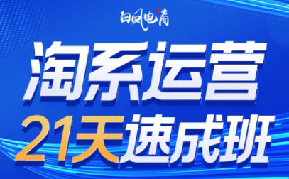 白凤电商·淘系运营21天速成班(更新4月)跨境课程-外贸教程-精品网课-电商运营课库课堂
