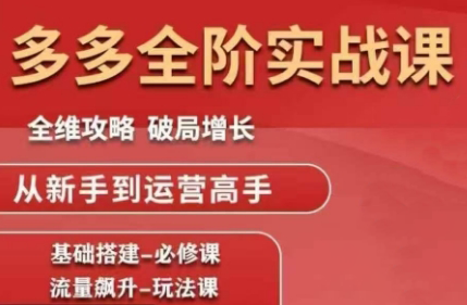 大炮·拼多多全阶实战课程(更新10月)跨境课程-外贸教程-精品网课-电商运营课库课堂