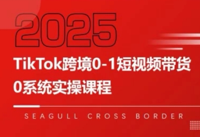 大亿老师·TikTok跨境0-1短视频带货跨境课程-外贸教程-精品网课-电商运营课库课堂