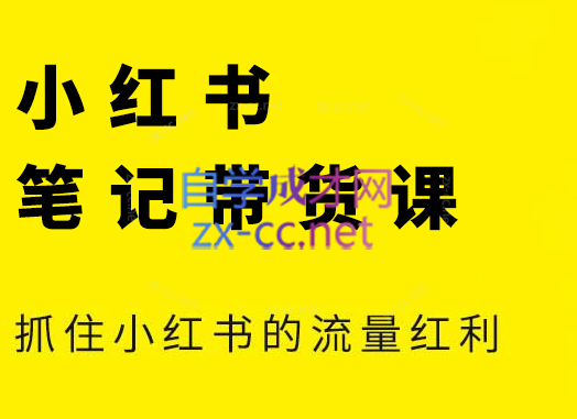张宾·小红书笔记带货课(更新9月)跨境课程-外贸教程-精品网课-电商运营课库课堂