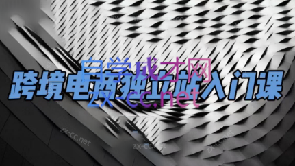 团长·跨境电商独立站入门课(2小时精华)跨境课程-外贸教程-精品网课-电商运营课库课堂