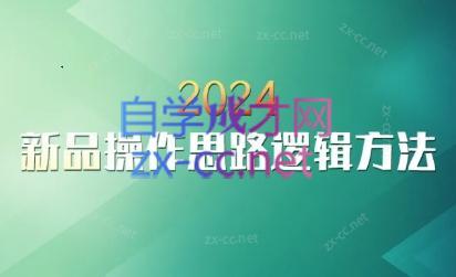 云创·2024新品操作思路逻辑方法跨境课程-外贸教程-精品网课-电商运营课库课堂