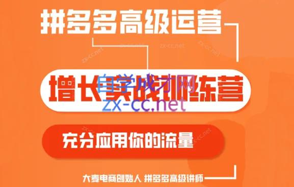大麦老师·拼多多单品爆款打造课程(更新6月)跨境课程-外贸教程-精品网课-电商运营课库课堂