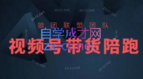 狼团联盟·2024视频号带货跨境课程-外贸教程-精品网课-电商运营课库课堂