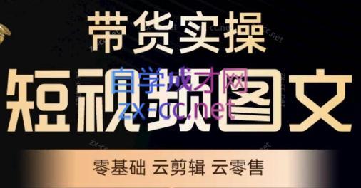 鑫哥·2024零基础短视频带货实操营跨境课程-外贸教程-精品网课-电商运营课库课堂